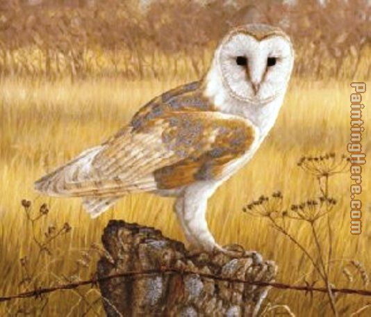 owl painting - Unknown Artist owl art painting
